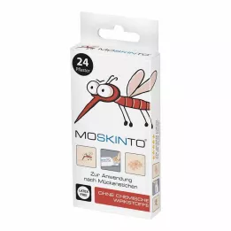 MOSKINTO Caja plegable colgante de escayola Europerforación, 24 uds