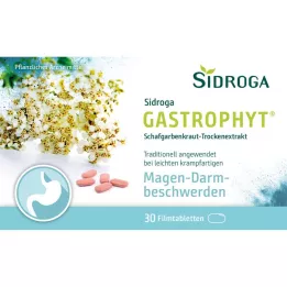 SIDROGA GastroPhyt 250 mg comprimidos recubiertos con película, 30 uds