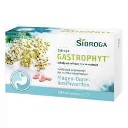 SIDROGA GastroPhyt 250 mg comprimidos recubiertos con película, 30 uds