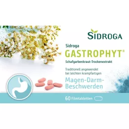 SIDROGA GastroPhyt 250 mg comprimidos recubiertos con película, 60 uds
