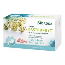 SIDROGA GastroPhyt 250 mg comprimidos recubiertos con película, 60 uds