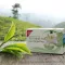 H&amp;S Té verde orgánico de Darjeeling Bolsitas de filtro, 20 x 2 g