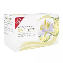 H&amp;S Bolsa filtrante de jengibre orgánico, 20X2 g