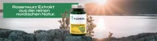Instructions for use for Fjordil Rhodiola Rosea cápsulas (90 piezas) - 1