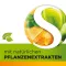 Dobensana Miel Herbal Vitaminas C &amp; Zinc Pastil.(16 piezas)