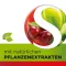 Dobensana Herbal Kirschgeschm.vit.c &amp; Pastilla de zinc.(36 piezas)