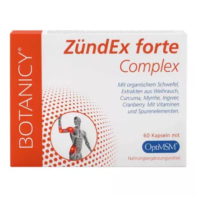 ZÜNDEX forte Complex con OptiMSM Cápsulas, 60 Cápsulas