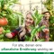 Vitamina D-Loges 7.000 UI depósito semanal a base de plantas, 60 piezas