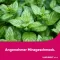 LINGUMELT tabletas bucodispersables agudas, 6 piezas