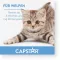 CAPSTAR 11,4 mg comprimidos para gatos/perros pequeños, 1 ud