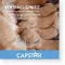 CAPSTAR 57 mg comprimidos f.perros grandes, 1 ud