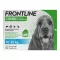 FRONTLINE COMBO contra garrapatas y pulgas en perros M (10-20 kg), 3 piezas