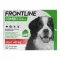 FRONTLINE COMBO contra garrapatas y pulgas en perros XL (40-60 kg), 3 piezas