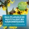 FAKTU Ungüento para hemorroides Lind con hamamelis, 25 g