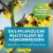 FAKTU Supositorios para hemorroides Lind con hamamelis, 10 piezas