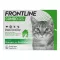 FRONTLINE COMBO SPOT ON Gato, 6 piezas