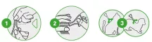 Instructions for use for FRONTLINE COMBO SPOT ON Gato, 6 piezas - 5