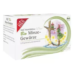 H&amp;S Winter Tea Menta Ecológica Especias Filtro Bolsa, 20X2.0 g