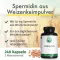 Green Naturals Spermidina 1,6 mg Cápsulas veganas, 240 ST