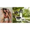 Plantana Olive Care Baño de Ducha con Oliva Bio, 500 ml