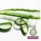 Plantana Aloe Vera Care Baño de Ducha con Aloe Vera Bio, 500 ml