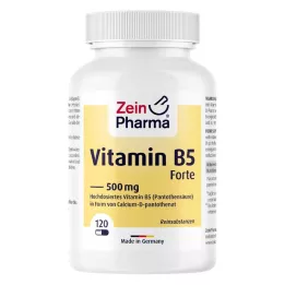 VITAMIN B5 PANTOTHENSÄURE 500 mg cápsulas, 120 uds