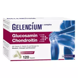GELENCIUM Glucosamina Condroitina altas dosis Vit C Kps, 120 uds